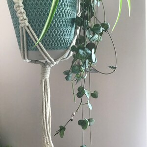 May include: A teal ceramic planter with a diamond-textured surface held by a cream-colored macrame rope hanger. The planter contains a trailing string of hearts plant with variegated heart-shaped leaves and a spider plant with long green leaves.