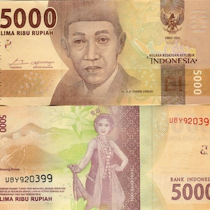 Indonesien Banknote 5000 Rupiah 156b Geldschein aus Indonesien Papiergeld aus Asien Bankfrisch UNC.