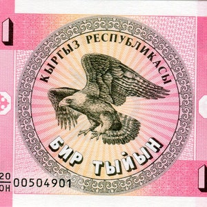 Kyrgyzstan / Kirgistan Banknote 1 Tyin 1993 P1 Geldschein aus Kirgistan Papiergeld aus Asien Bankfrisch UNC.