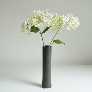 May include: A bouquet of white hydrangeas in a black ceramic vase. The vase is tall and slender, with a simple design.