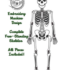 May include: A black and white illustration of a complete human skeleton. The design is for embroidery machine use. Text on the image reads "Embroidery Machine Design", "Complete Free-Standing Skeleton", and "All Pieces Included!"