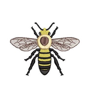 Puede incluir: Una abeja amarilla y negra con alas marrones. La abeja tiene un abdomen rayado negro y amarillo y una cabeza marrón con un círculo amarillo alrededor de los ojos.