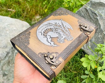 May include: A brown leather journal with a silver dragon emblem on the cover. The journal features decorative metal corner accents and a clasp closure. The background shows green grass and a large rock.