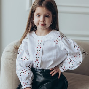 Vyshyvanka modern blouse. Linen blouse with Ukrainian embroidery. . IN STOCK