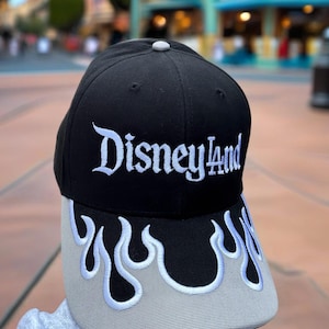 Disneyland-pet