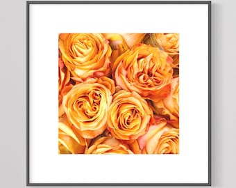 Orange Roses - Zen Flower-Reiki Healing - Fine Art Photography - Floral Nature Print