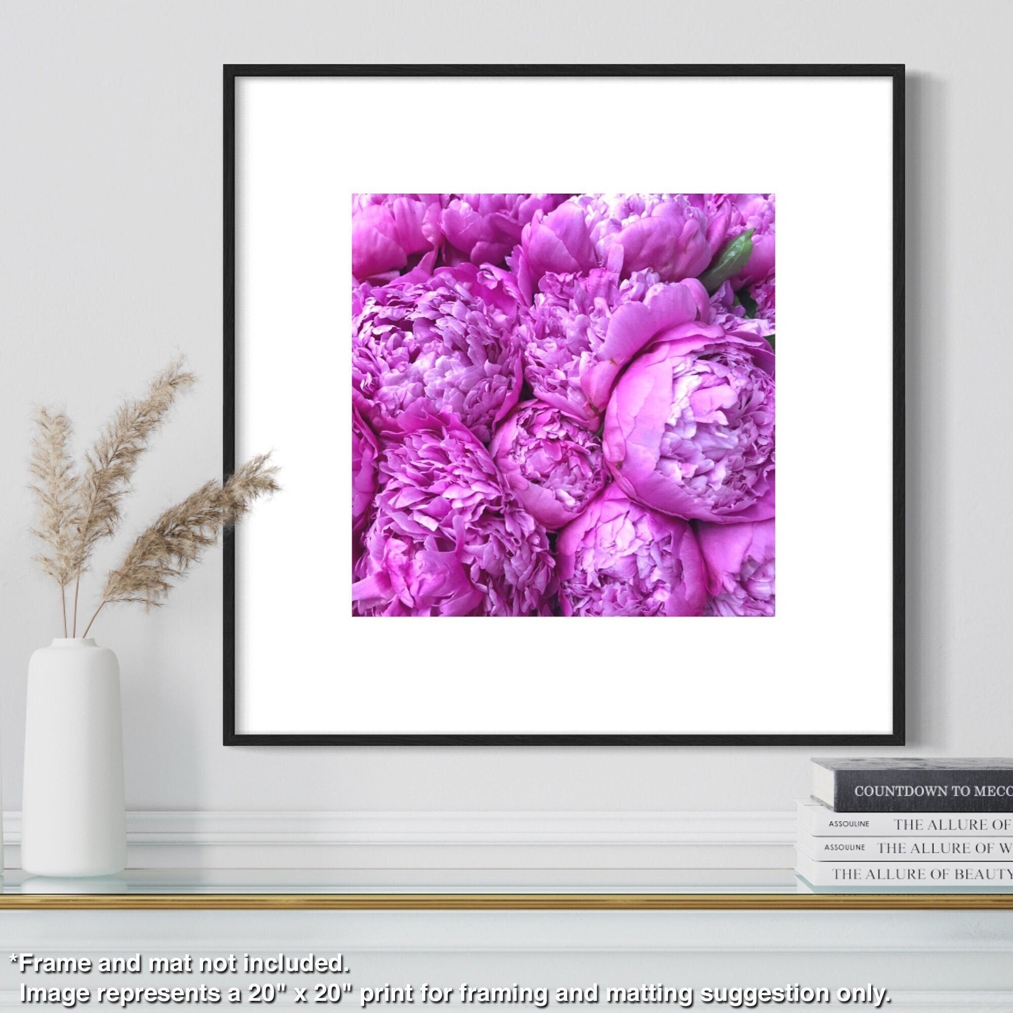 Pink Peony 1 Fine Art Flower Photography Print Etsy