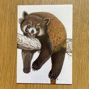 Impression d'art originale Carte Panda roux
