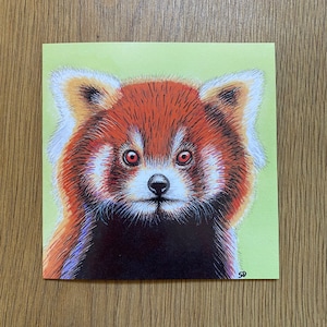 Carte imprimée originale de panda roux (5 x 5 po.)