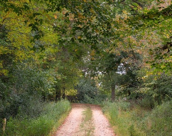 Country Road Photography Print | Farmhouse Wall Art