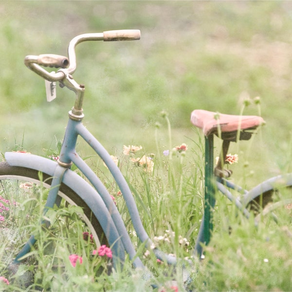 Country Pastel Flowers and Bike, Modern Farmhouse Wall Decor, Shabby Chic Photo, Bike and Flowers Photo, Country Flower Field Photo