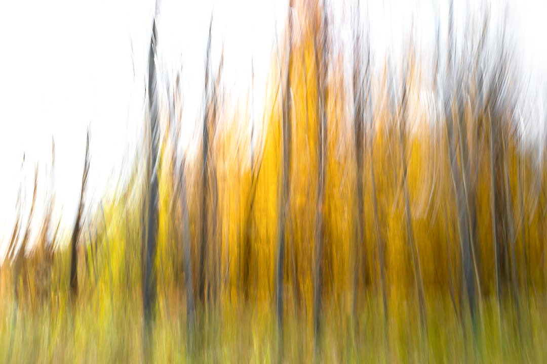 Abstract Fall Landscape Photography Print, Minnesota Autumn Colors - Etsy