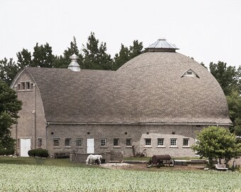Domed Barn and Farm Animals Photo | Rustic Country Wall Art