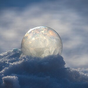 May include: A large, clear bubble frozen in a mound of snow. The bubble has a delicate, frosty pattern on its surface and reflects the sunlight.