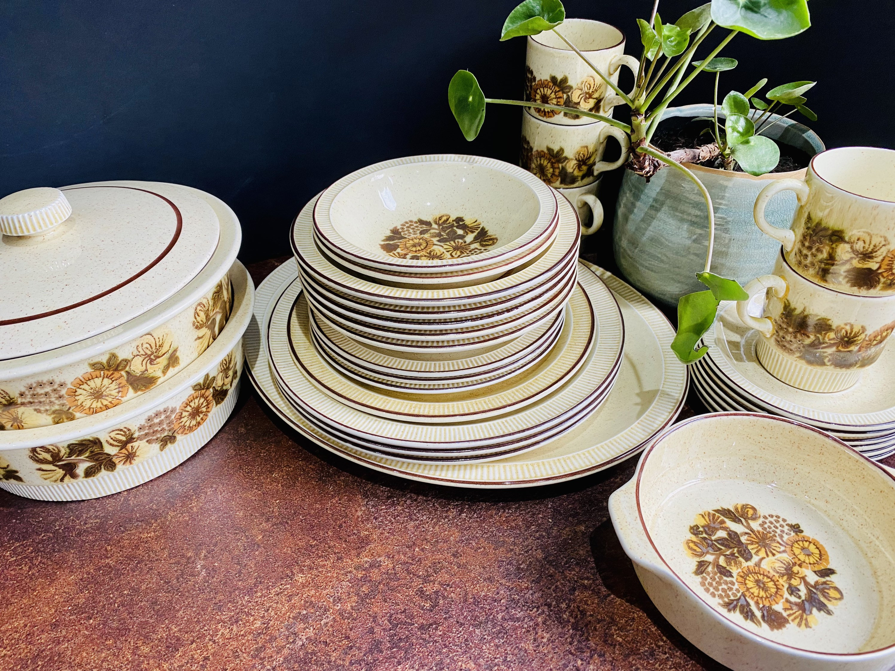 Vintage Poole - Thistlewood - Pottery, Bowls, Cups, Saucers