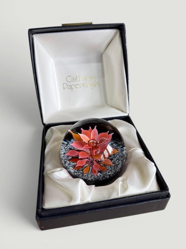 ケイスネス（Caithness）限定版ペーパーウェイト、ローズ＆レディバード Caithness paperweights limited edition - Etsy 日本