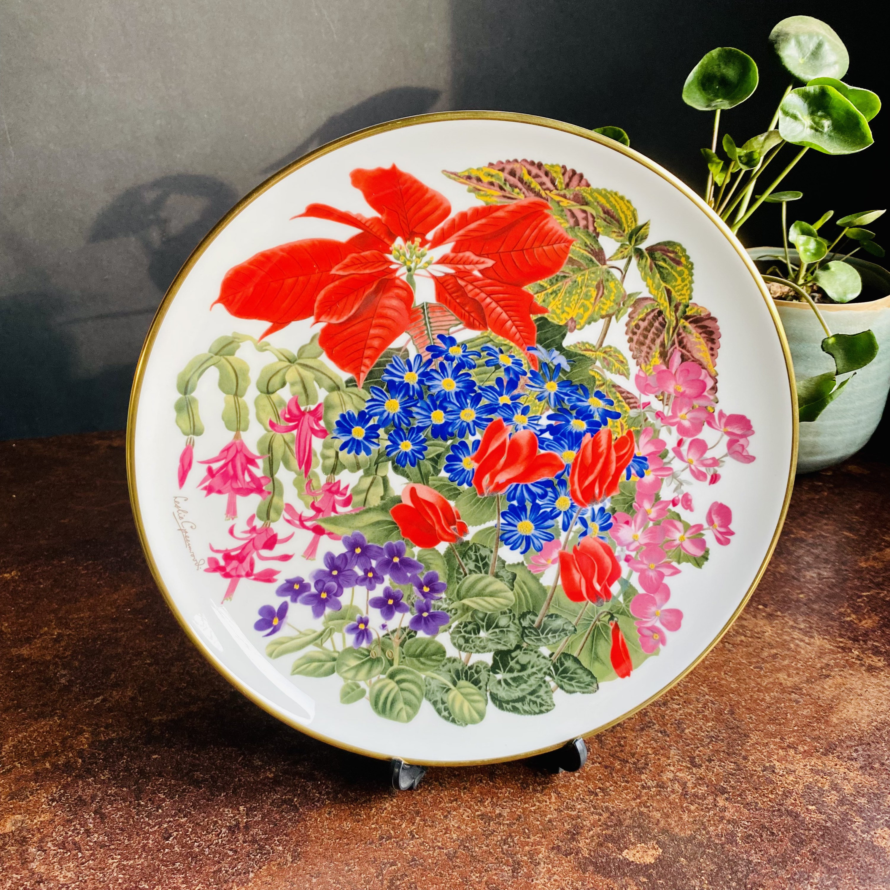 Vintage 1978 - RHS - Flower of the Year Plate - December