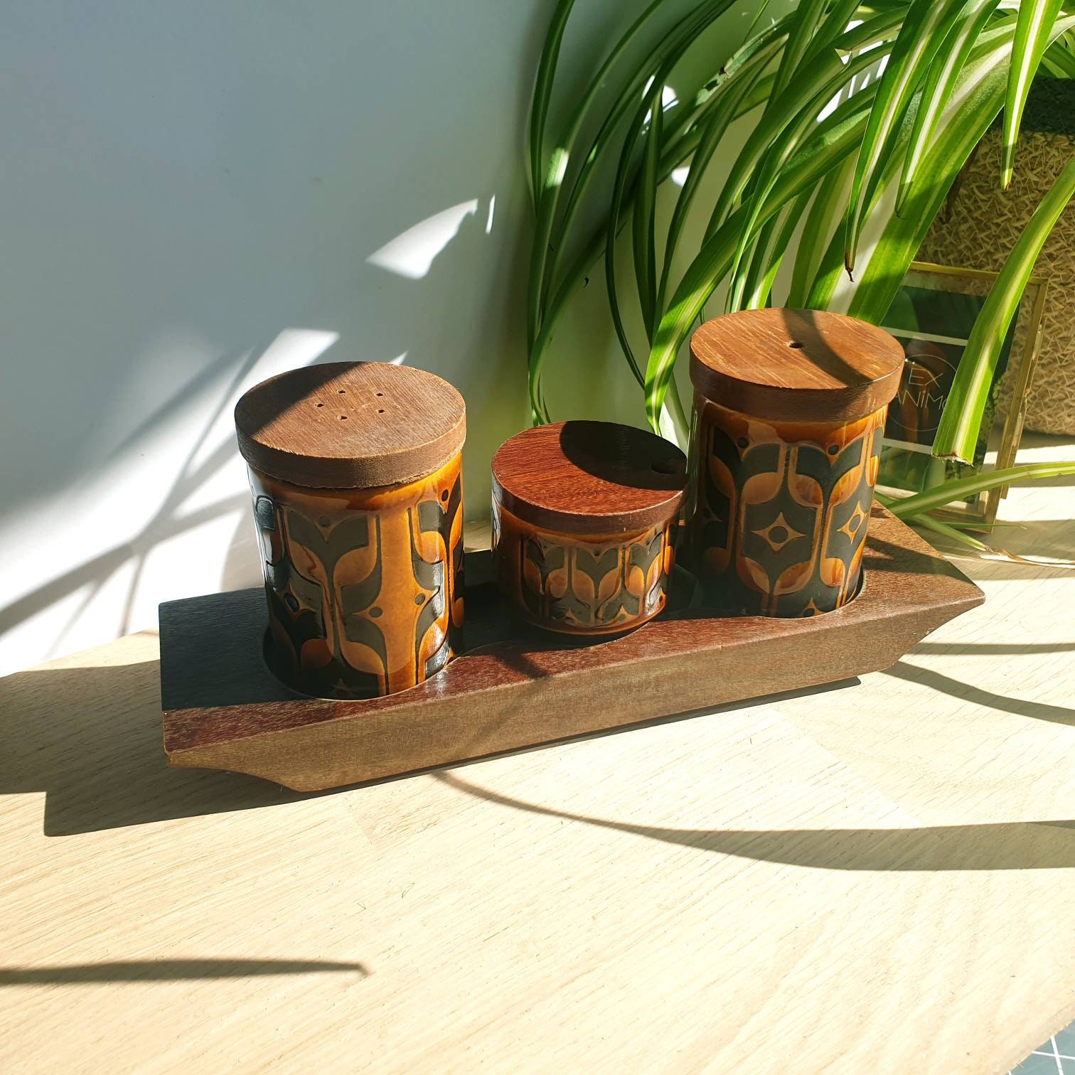 Hornsea Bronte Salt and Pepper Pots. Retro 1970s Condiments
