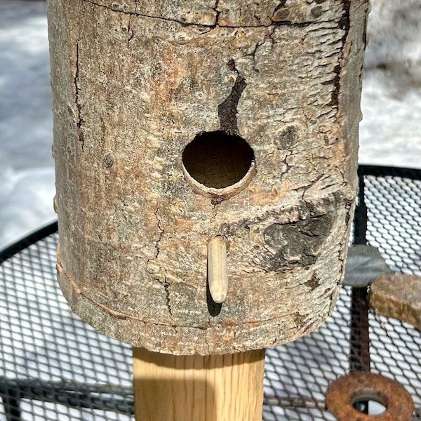 Handcrafted ASPEN Wood BIRD HOUSE / Aspen Log / Hollow Log / Sustainably Sourced Wood