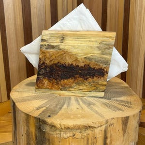 Può includere: Un portatovaglioli in legno dal design rustico naturale. Il supporto è realizzato con un pezzo di legno con un centro marrone scuro e tonalità marroni e gialle più chiare. I tovaglioli bianchi sono posti all'interno. Il supporto poggia su un ceppo di legno.