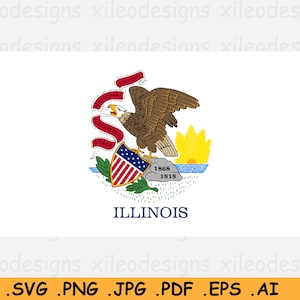 Op de afbeelding: De officiële vlag van de staat Illinois, met een blauwe achtergrond en een witte adelaar die een schild vasthoudt met rode en witte strepen en sterren. De adelaar zit op een rots met de tekst "National Union State" en "1868 1818" op een rol. De tekst "ILLINOIS" wordt in blauw onder de adelaar weergegeven.