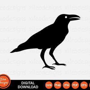 May include: Black silhouette of a crow with its beak open. The crow is facing right and has its legs outstretched. The image is on a white background.