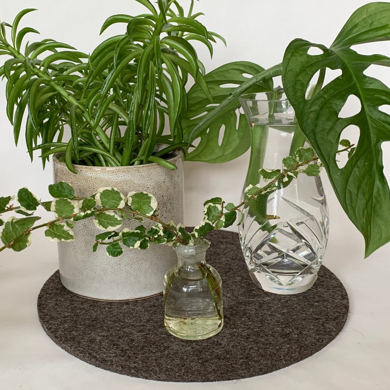 10inches Felt Plant Pot Coaster Plant Decor Plant Etsy