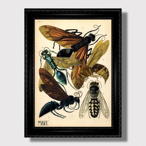 Könnte beinhalten: Ein gerahmter Vintage-Druck mit detaillierten Illustrationen verschiedener Insekten, darunter Wespen und Bienen. Das Kunstwerk zeigt eine Vielzahl von Farben, darunter Braun, Schwarz, Grün und Gelb, vor einem cremefarbenen Hintergrund. Der Druck ist in einem schwarzen, verzierten Rahmen gerahmt.