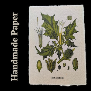 Norse God Odin on Sleipnir – Viking Myth Art Print, Icelandic Magic Horse Illustration, Pagan Scandinavian Wall Decor, Mythology Style Gift image 7