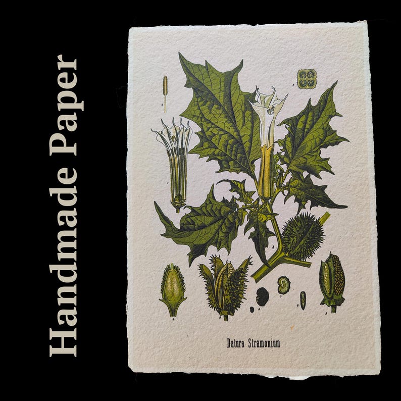 Norse God Odin on Sleipnir – Viking Myth Art Print, Icelandic Magic Horse Illustration, Pagan Scandinavian Wall Decor, Mythology Style Gift image 7