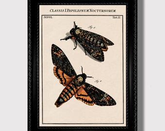 Death's-Head Hawkmoth Art Print – Vintage Gothic Insect Illustration, Dark Entomology Decor