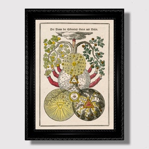 Rosicrucian Tree – Hermetic Wisdom Print, Alchemy and Spirit Symbolism, Esoteric Occult Philosophy Art Poster, Metaphysical Home Wall Decor