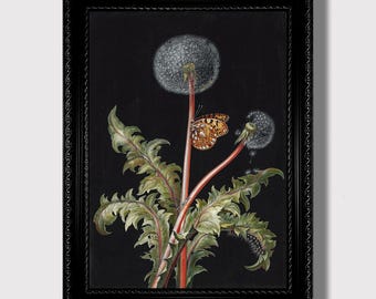 Gothic Botanical Print – Dandelion & Moth Illustration, Witchcraft Garden Wall Art, Dark Floral Still Life