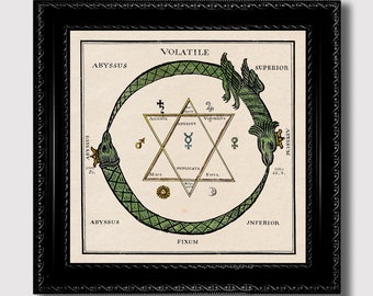 Ouroboros Alchemy Wall Art – Ancient Serpent of Infinity and Transformation, Esoteric Gothic Occult Print, Hermetic Symbol for Home Decor