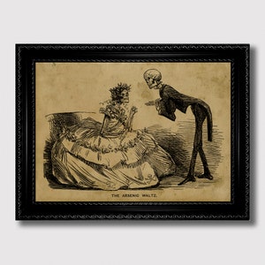 絵になる鏡』 ヴィクトリア朝風変わりな醜いルネッサンスウォール