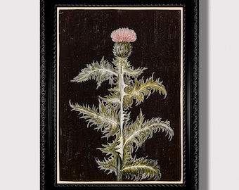Dark Thistle Botanical Print – Vintage Plant Illustration, Witchy Cottagecore Poster, Herbal Gothic Decor, Moody Natural History Wall Art