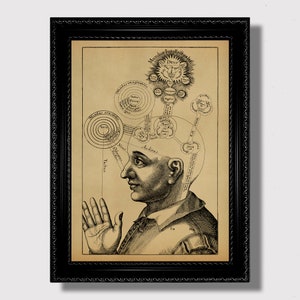 May include: A vintage black and white illustration of a man's head with a diagram of the human mind. The diagram shows the different parts of the brain and their functions. The text in the image reads "Mundus Intellectiualis" and "Deus".