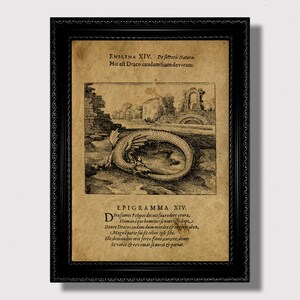 May include: A black and white illustration of a dragon eating its tail, with the text "EMBLEMA XIV. De secretis Nature. Hic est Draco caudam suam devorans." and "EPIGRAMMA XIV. Dirafames Polypos docuit fuarodere crura, Humanáque homines se nutriisse dape. Dente Draco caudam dum mordet & ingerit alvo, Magna parte fui sit cibus ipse fibi. Ille domandus erit ferro fame, carcere, donec Se vores &revomat senecet &pariat."