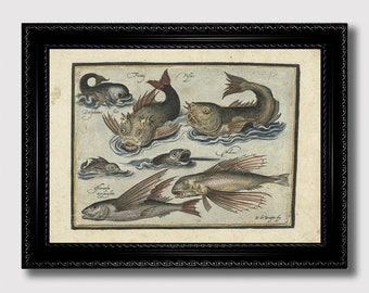 Póster vintage de ictiología: grabado de criaturas marinas antiguas, arte náutico de historia natural, ilustración de biología marina