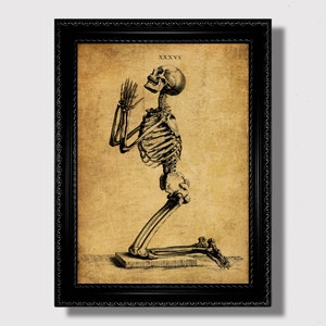 May include: A vintage anatomical illustration of a human skeleton kneeling in a praying position. The image is in black and white and has a sepia tone. The skeleton is labelled with the Roman numeral XXXVI.