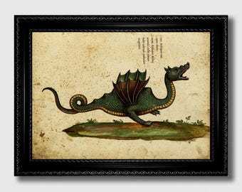 Antique Dragon Print – Ulisse Aldrovandi Mythical Beast Art Print, Medieval Fantasy Creature Illustration