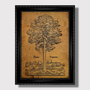 May include: A black and white vintage illustration of a tree with a snake wrapped around it. The tree is surrounded by skulls and bones. The text "Sans Varnier." is written below the tree.