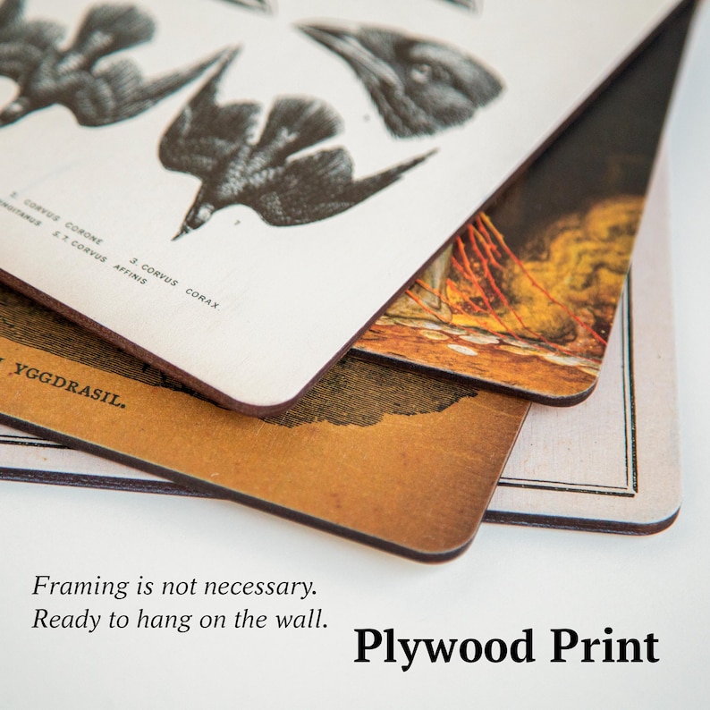 Norse God Odin on Sleipnir – Viking Myth Art Print, Icelandic Magic Horse Illustration, Pagan Scandinavian Wall Decor, Mythology Style Gift image 3