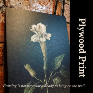 Norse God Odin on Sleipnir – Viking Myth Art Print, Icelandic Magic Horse Illustration, Pagan Scandinavian Wall Decor, Mythology Style Gift image 4