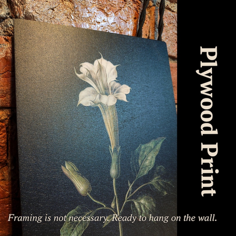 Norse God Odin on Sleipnir – Viking Myth Art Print, Icelandic Magic Horse Illustration, Pagan Scandinavian Wall Decor, Mythology Style Gift image 4