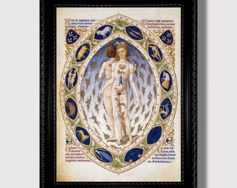 Zodiakanatomi – Medeltida astrologiposter, ockult människokroppens horoskop, väggdekoration med mystiskt manuskript från vintagetiden