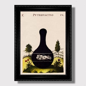 Puede incluir: Lámina artística enmarcada en negro que presenta una silueta oscura en forma de botella con una ilustración detallada en su interior. La impresión incluye el texto "F. PUTREFACTIO IV." y un paisaje con árboles y flores.