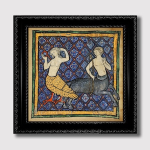 Illustrazione medievale di centauro e sirena. Bellissimo poster a colori per la decorazione della casa.