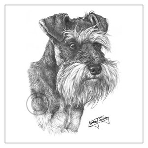 Miniature Schnauzer card, blank inside