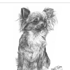 Tarjeta chihuahua de pelo largo, regalos de chihuahua de pelo largo, tarjeta de cumpleaños de chihuahua